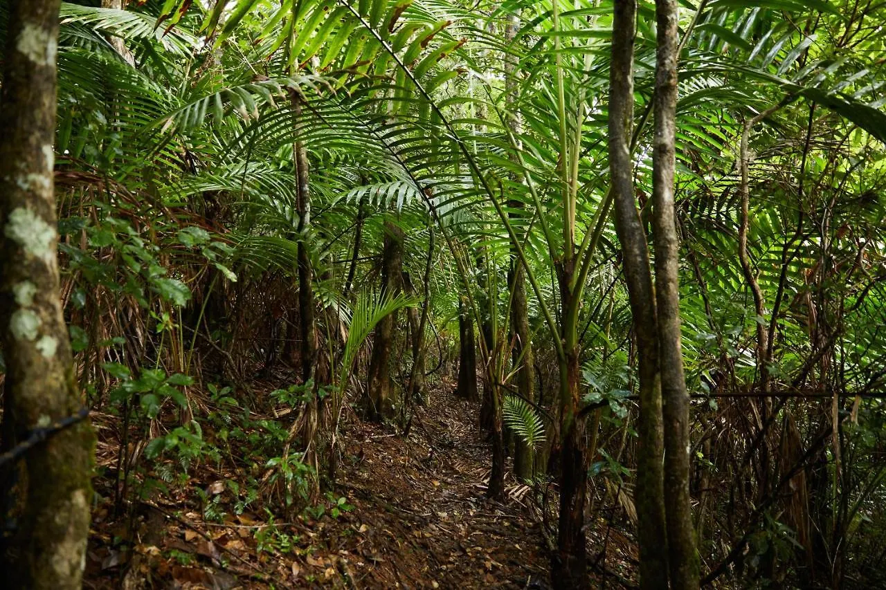 Selva By Dw Villa Fajardo Puerto Rico
